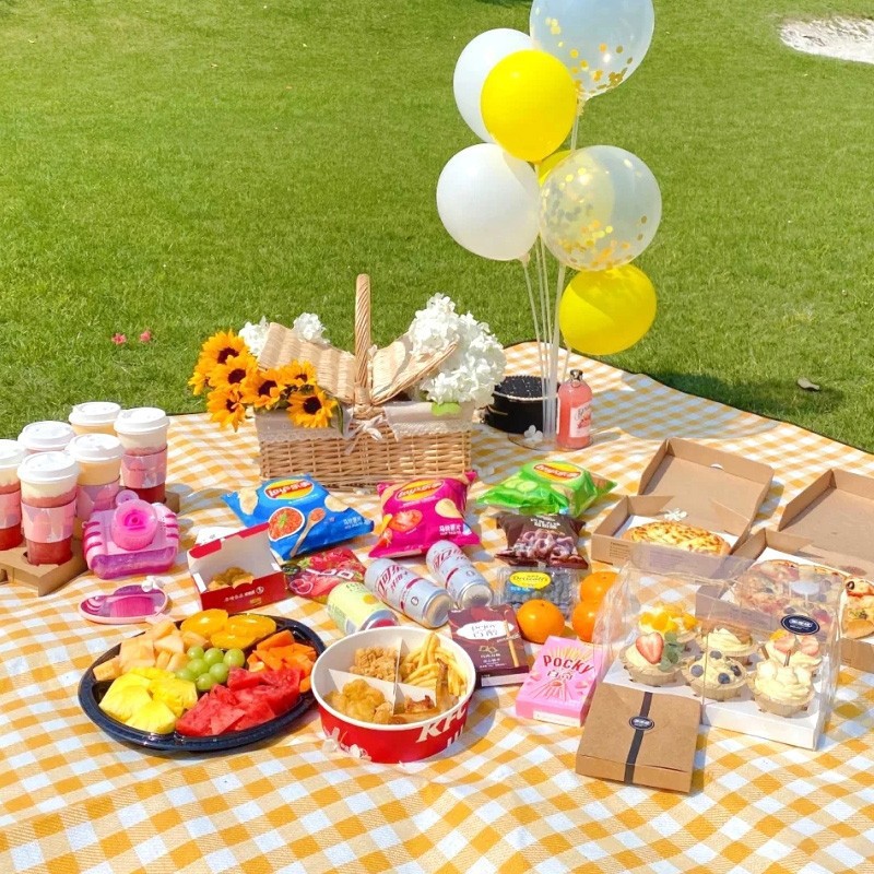 179x170cm Extra Large Picnic M - đánh giá và giá Outdoor Rug Waterproof